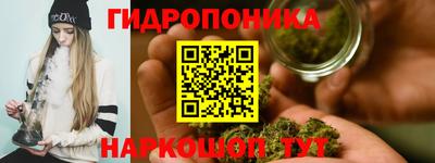 ALPHA-PVP Новозыбков