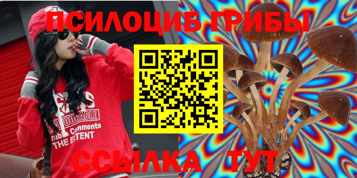 Псилоцибиновые грибы MAGIC MUSHROOMS Тайшет