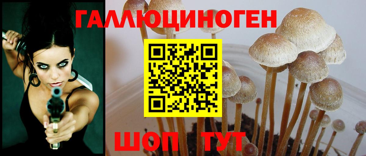 Псилоцибиновые грибы прущие грибы  Вход с VPN  Галлюциногенные грибы Psilocybine cubensis  Тайшет 